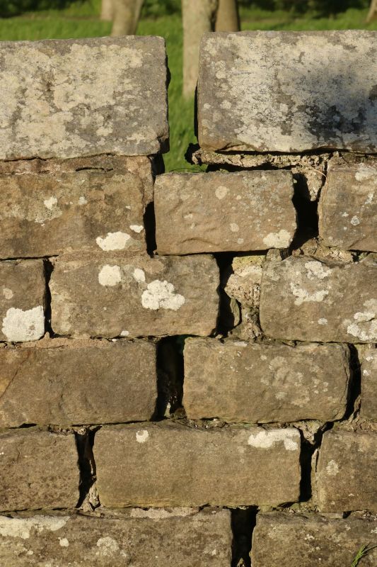 Stone Wall Repair in Otsego, MI